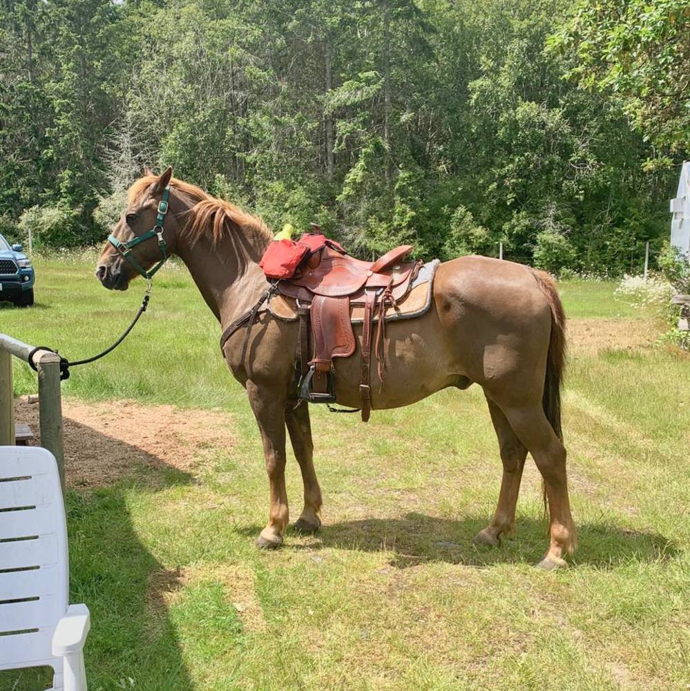 Meet your Posher, Elaine